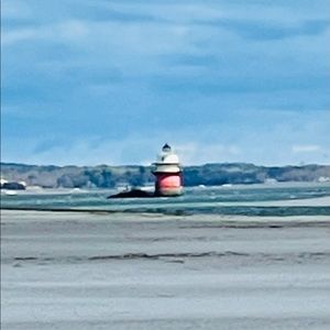 Meet your Posher, Bonnie